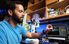 Male looking at slide in front of computer