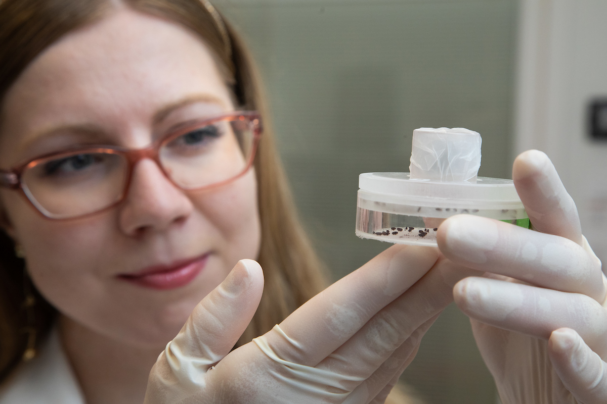 USA Researcher in lab.