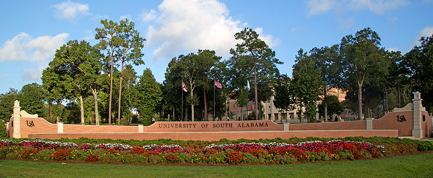 USA Street View showing sign and flags.