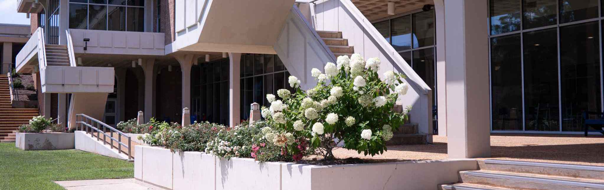 Back side of Student Center facing flower beds.